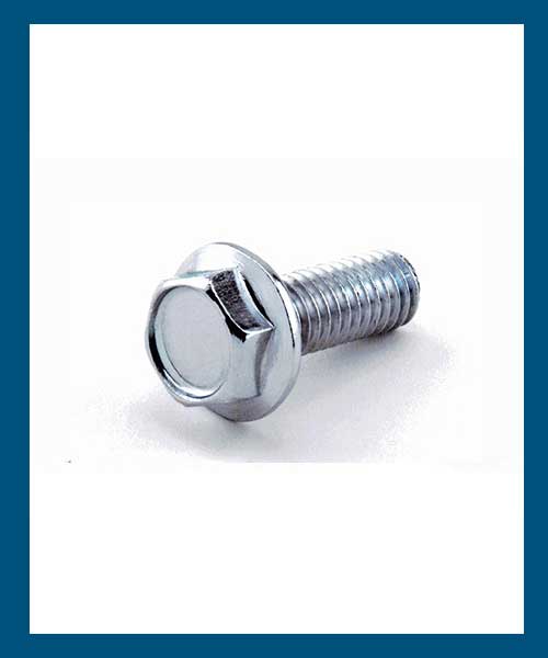 special Screws in Qatar